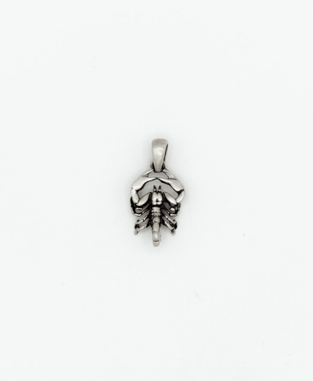 Scorpion pendant
