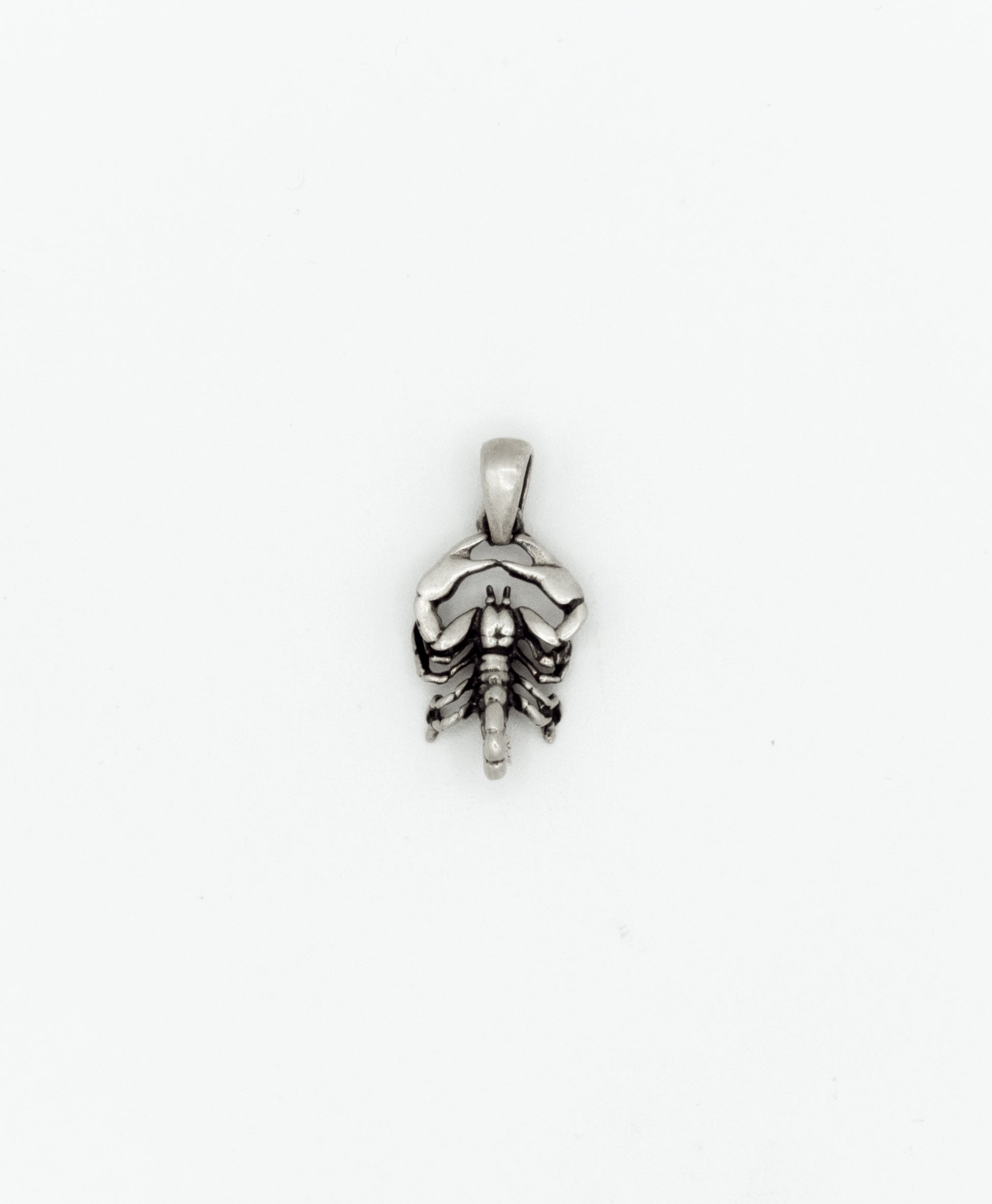 Scorpion pendant