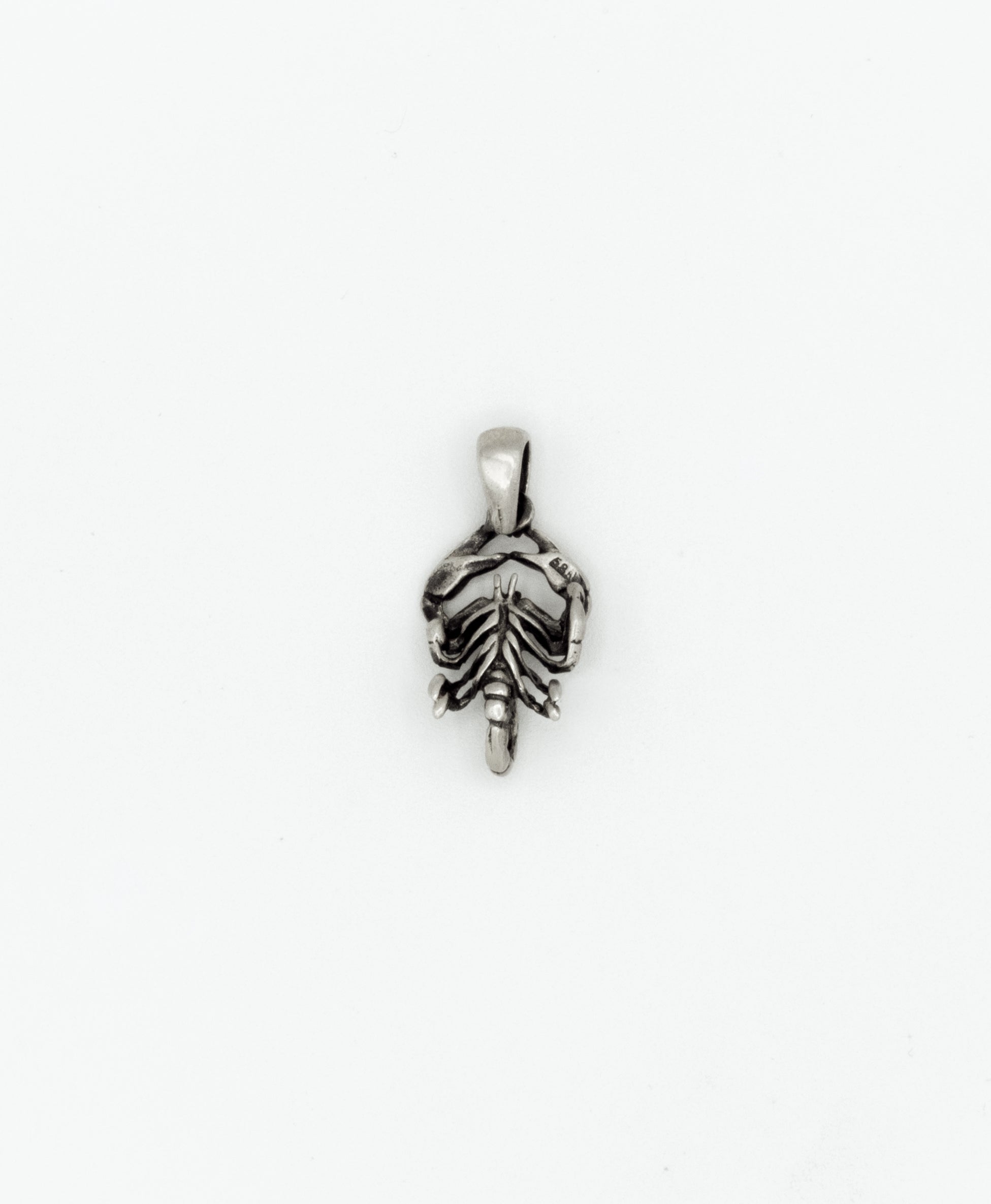 Scorpion pendant